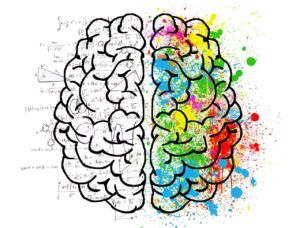 Illustration of the logical left brain and the colourful and creative right brain.